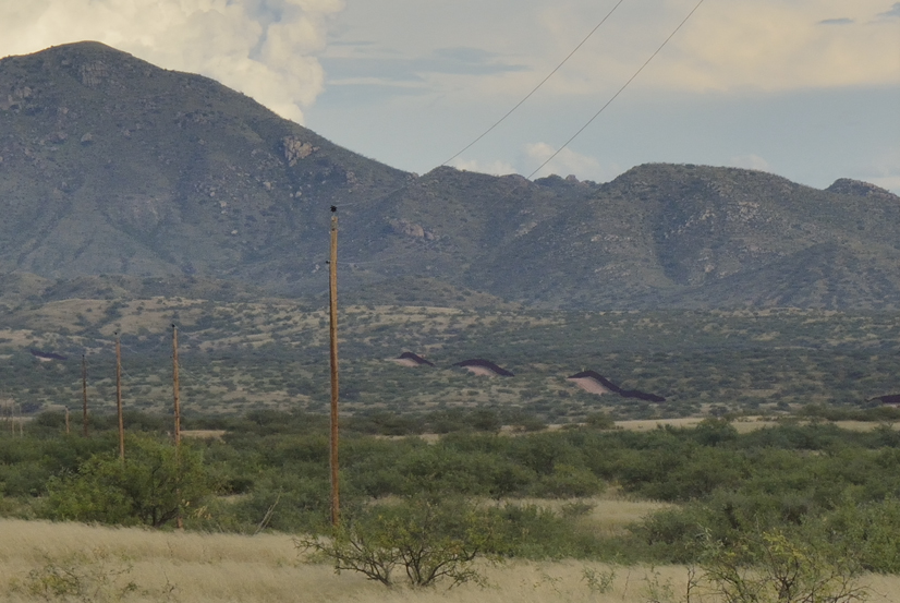 Le Mur: Frontière Arizona/Mexique
Keywords: Tohono Oodham;Tohono Oodham land;frontière us-mexique;photo ©Christine Prat