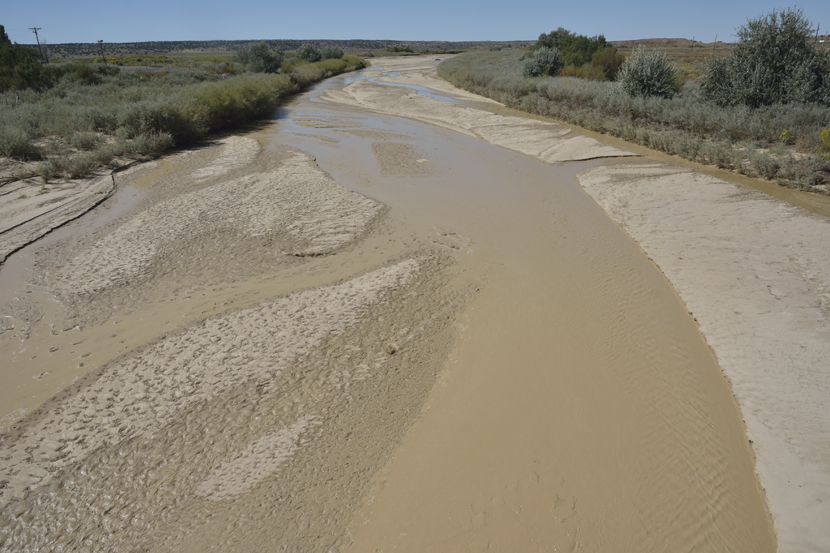 Rio Puerco, Sanders, Arizona, (pollué par l'uranium depuis l'accident de 1979) - septembre 2015
Keywords: rio puerco;sanders arizona;arizona;pollution radioactive;catastrophe de church rock;©photo Christine Prat