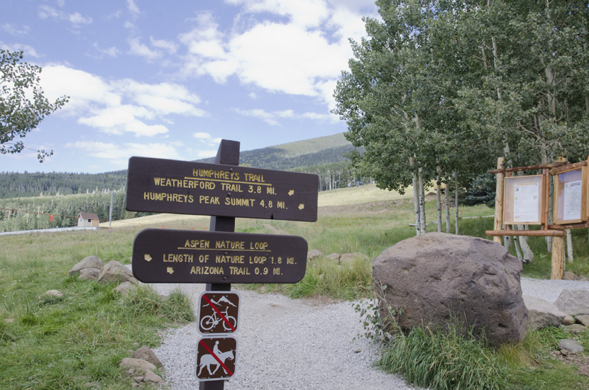 Location 5, start of Humphrey trail / départ du sentier de randonnée pour le Pic Humphrey. 20 sept 2012

