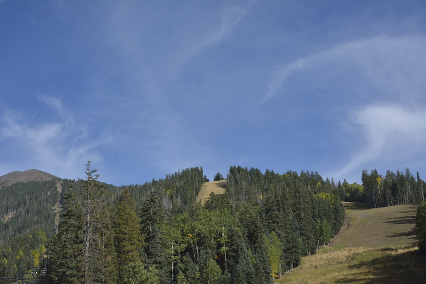 Les pistes de ski qui trouent la forêt, septembre 2015
