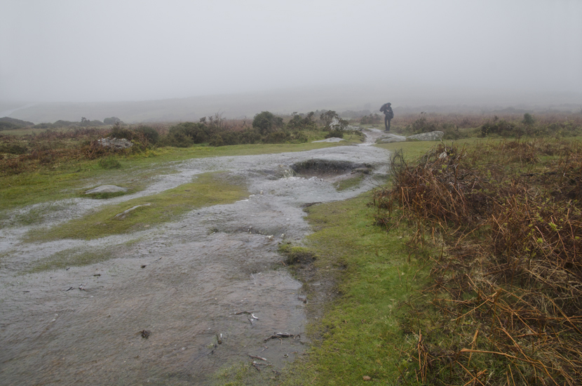 the Moors, Devon
Keywords: the Moors;Devon;United Kingdom;photo Christine Prat;christine prat photography