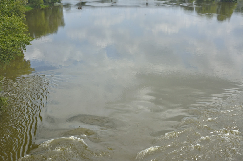 La Loire, 1er juin 2014
Keywords: Tours;La Loire;photo Christine Prat;christine prat photography