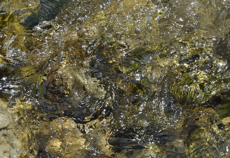 La Jonte au Rozier, Lozère
Keywords: la jonte;la jonte lozère;photo ©Christine Prat;Christine Prat photography;water is life;gorges de la Jonte;Lozère