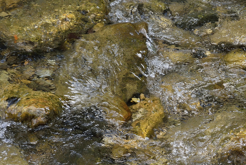 La Jonte au Rozier, Lozère
Keywords: la jonte;la jonte lozère;photo ©Christine Prat;Christine Prat photography;water is life;gorges de la Jonte;Lozère