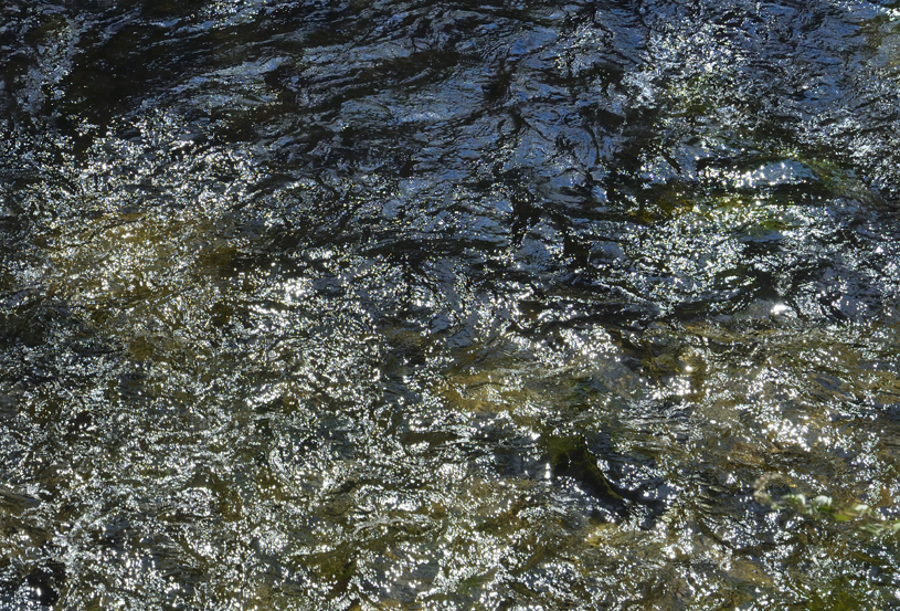 La Jonte au Rozier, Lozère
Keywords: la jonte;la jonte lozère;photo ©Christine Prat;Christine Prat photography;water is life;gorges de la Jonte;Lozère