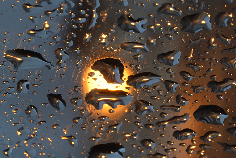 Il pleut, détail
Saint-Brieuc, 4 décembre 2021
Keywords: water is life;images d eau;eau;saint-brieuc;côtes d armor;saint-brieuc côte d armor;photos Christine Prat;@christine prat
